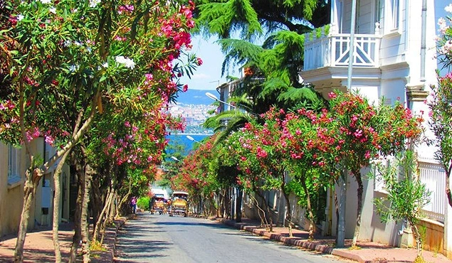 Princess Island Istanbul 9