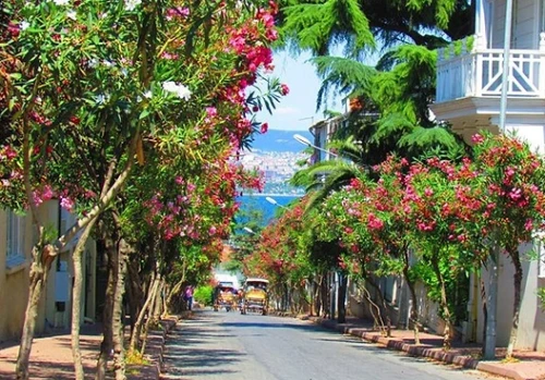 Princess Island Istanbul 9
