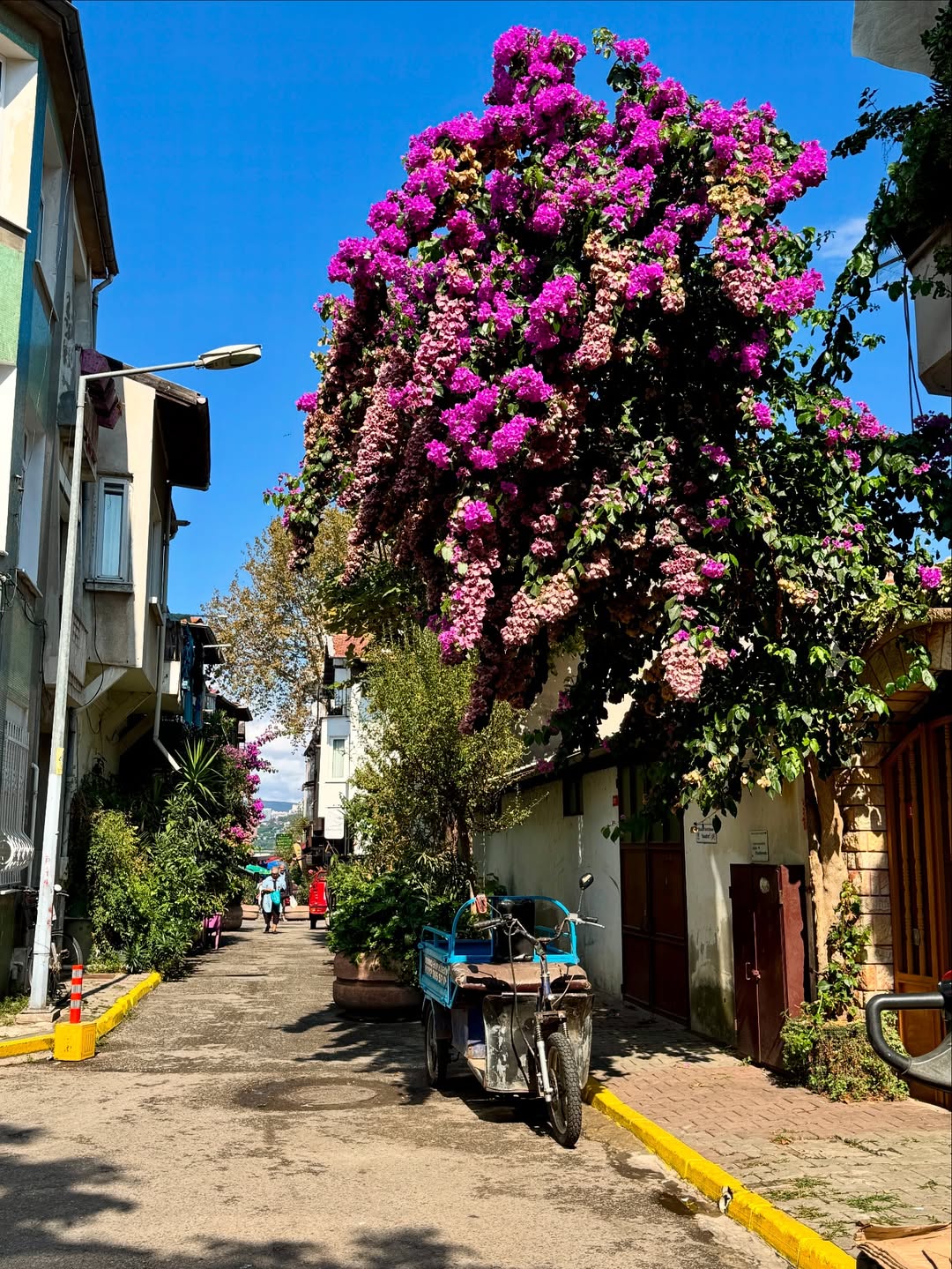 Princess Island Istanbul 1